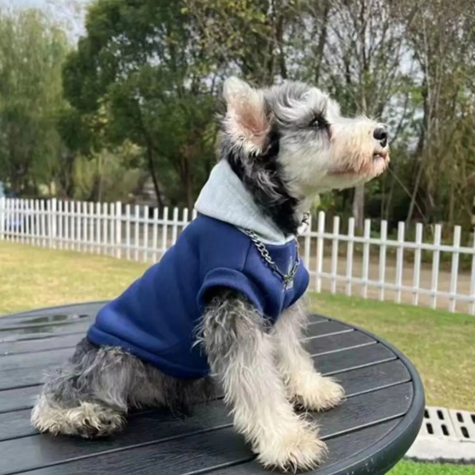 ChillPaws™ Fashion Dog Hoodie - Soft Winter Sweatshirt