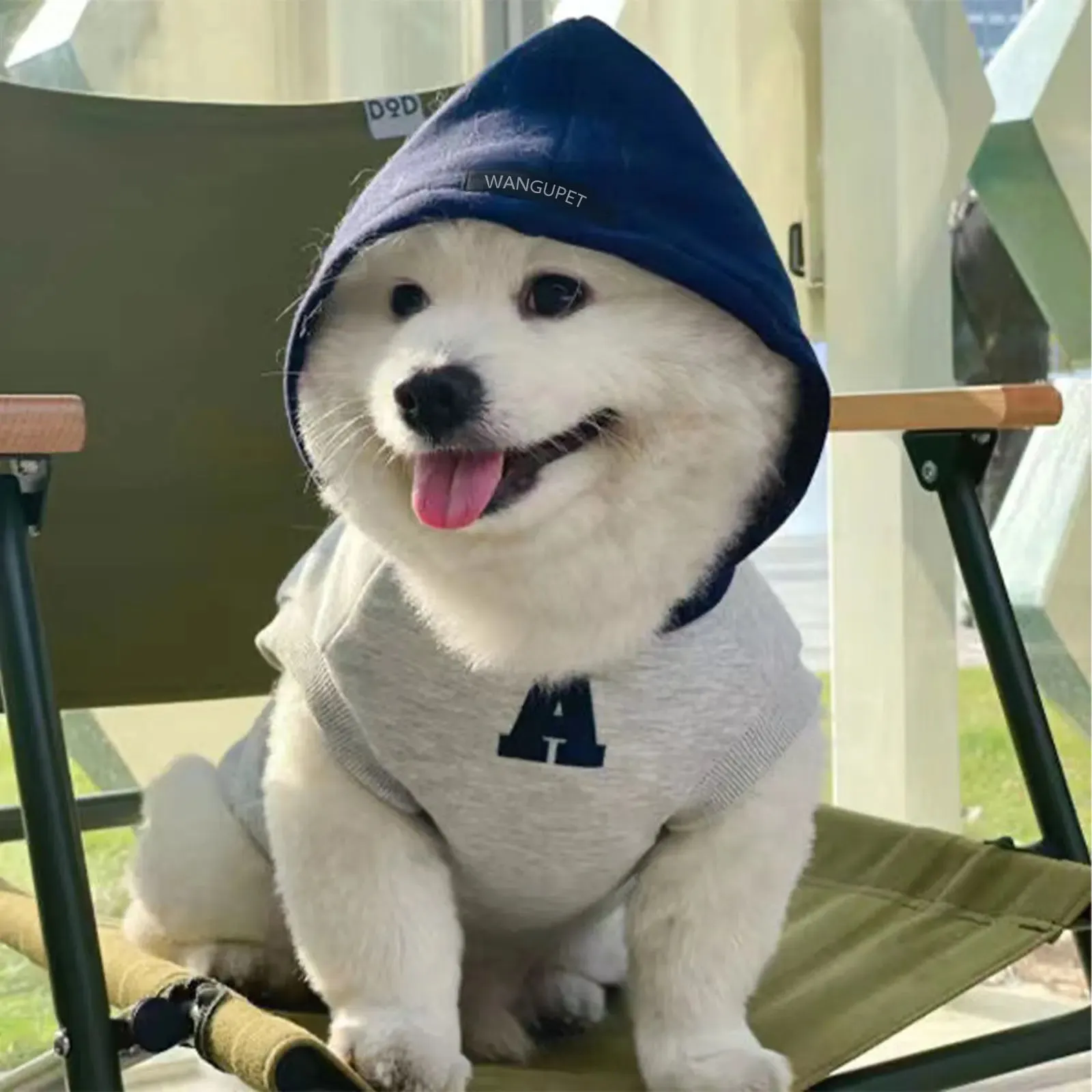 ChillPaws™ Fashion Dog Hoodie - Soft Winter Sweatshirt