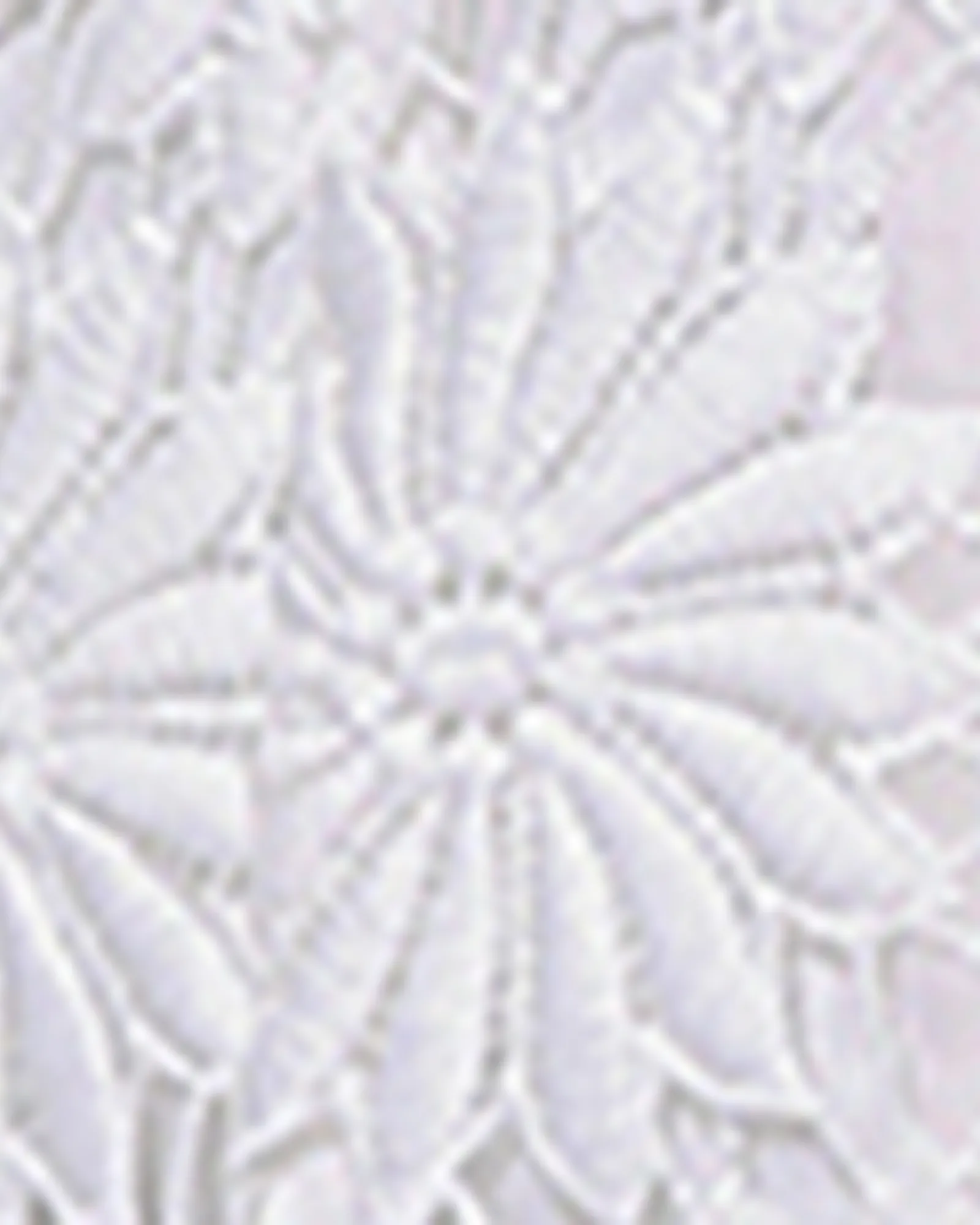 Floral Crochet Jacket | WHITE