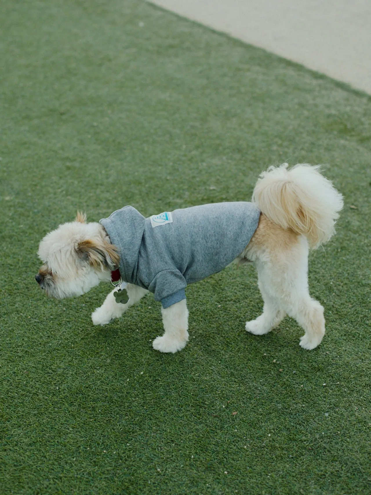 Grey Dog Hoodie w/Natural/Blue Logo Patch