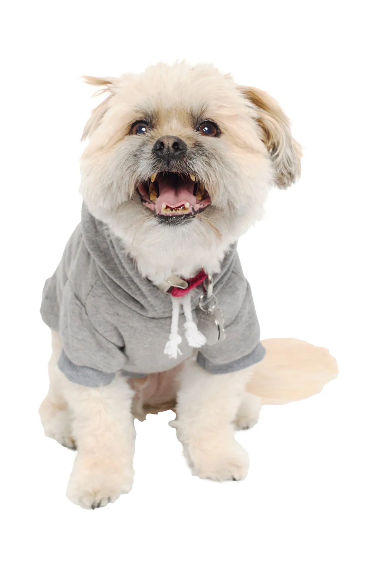 Grey Dog Hoodie w/Natural/Blue Logo Patch