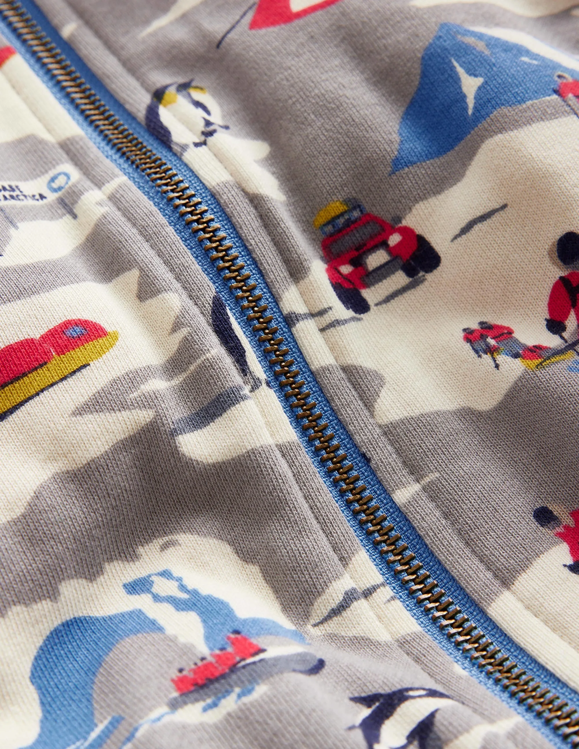 Shaggy-Lined Printed Hoodie-Grey Arctic Explorer